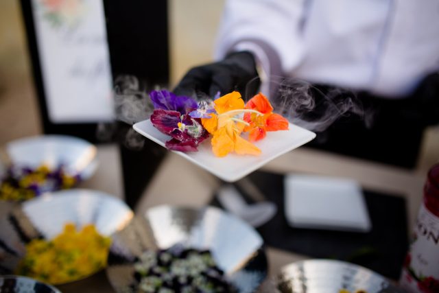 Marcotullio anim anne mangeon 0